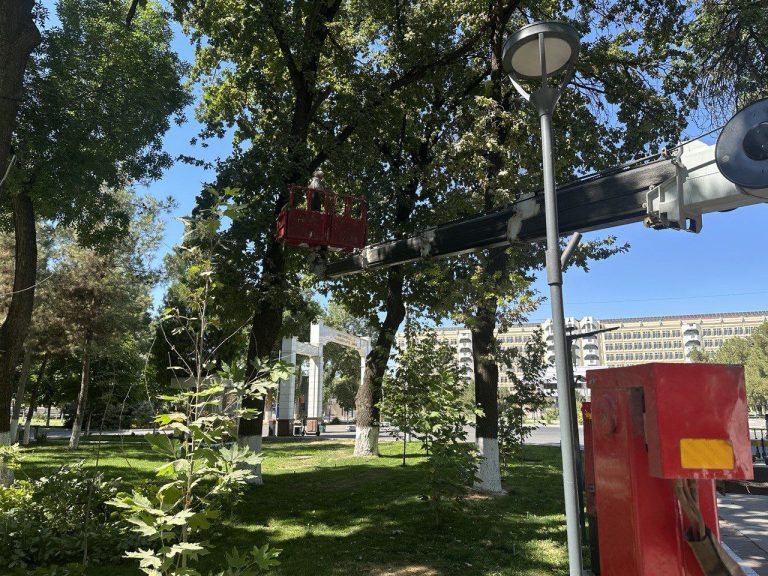 National University of Uzbekistan Enhances Campus Environment Through Pre-Academic Year Landscaping
