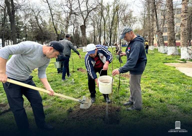 NATIONAL UNIVERSITY OF UZBEKISTAN INITIATES 10-YEAR PLAN TO PLANT DROUGHT-TOLERANT TREES AND CONSERVE WATER