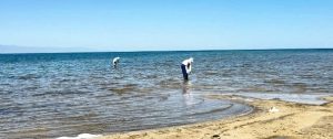 MILLIY UNIVERSITET TALABALARI TUZKAN KO’LI VA ATROFINI TOZALASH AKSIYASIDA