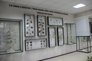 Paxta genetikasi muzeyi