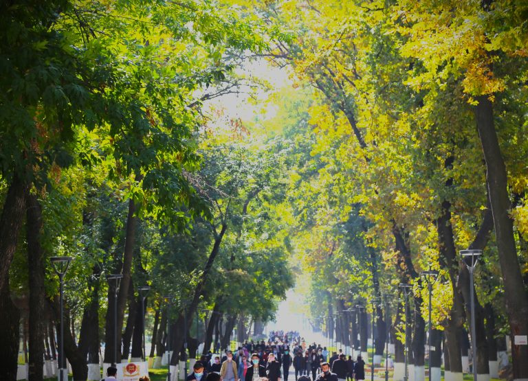 University Green Square