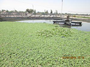 Expanding Biological Wastewater Treatment in Andijan
