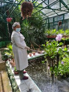Angrendagi oqava suvlarni biologik tozalash davom etmoqda