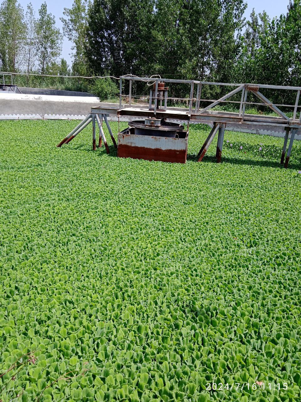 photo_2024-07-16_12-24-33