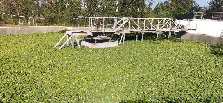 Off-campus water conservation support