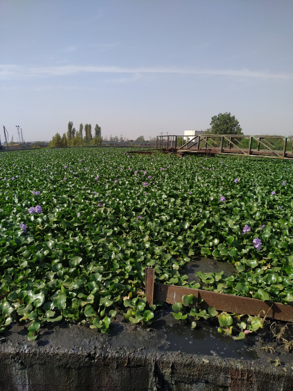 photo_2024-08-26_11-51-22