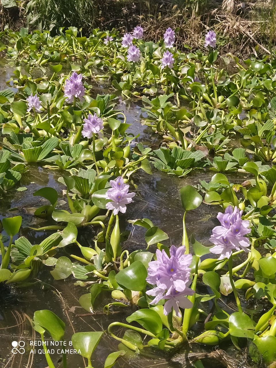 photo_2024-08-26_12-42-38