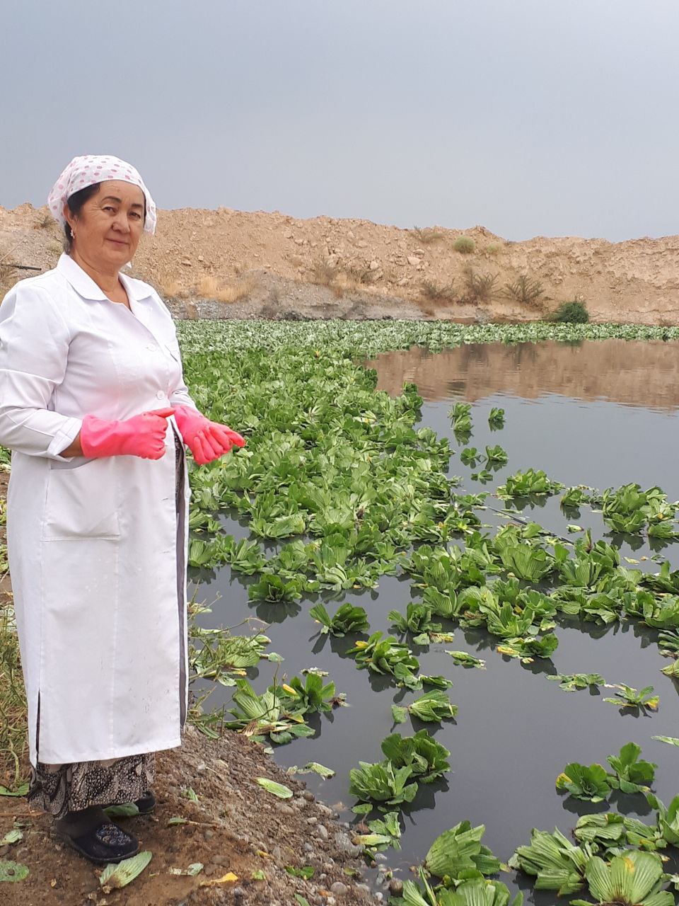 photo_2024-08-27_10-10-50
