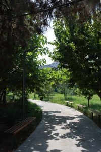 Local Biodiversity in NUUz