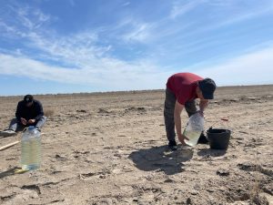 Reviving the Biodiversity of Aral Sea
