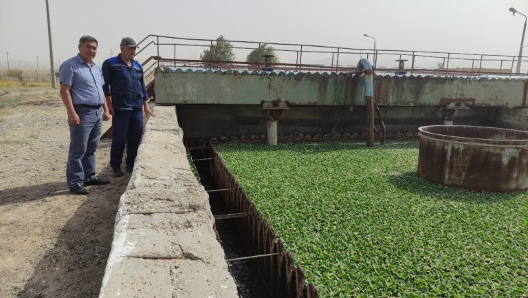 Wastewater Treatment in the Mining and Metallurgical Industry 