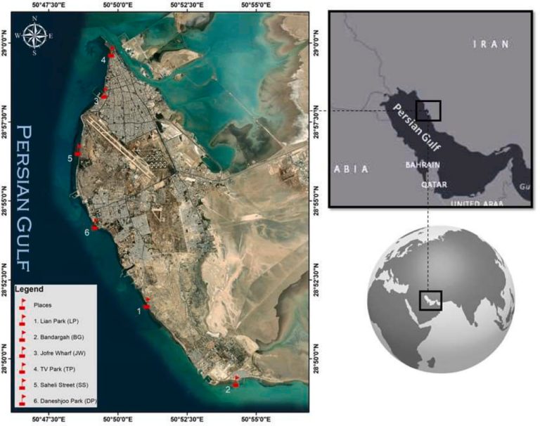 Abundances and Characteristics of Microplastics in Core Sediments of the Persian Gulf Coast