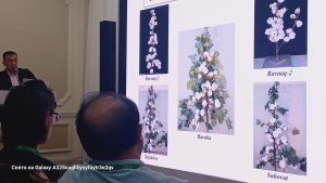 Advancing Genetic Diversity in Agricultural Crops