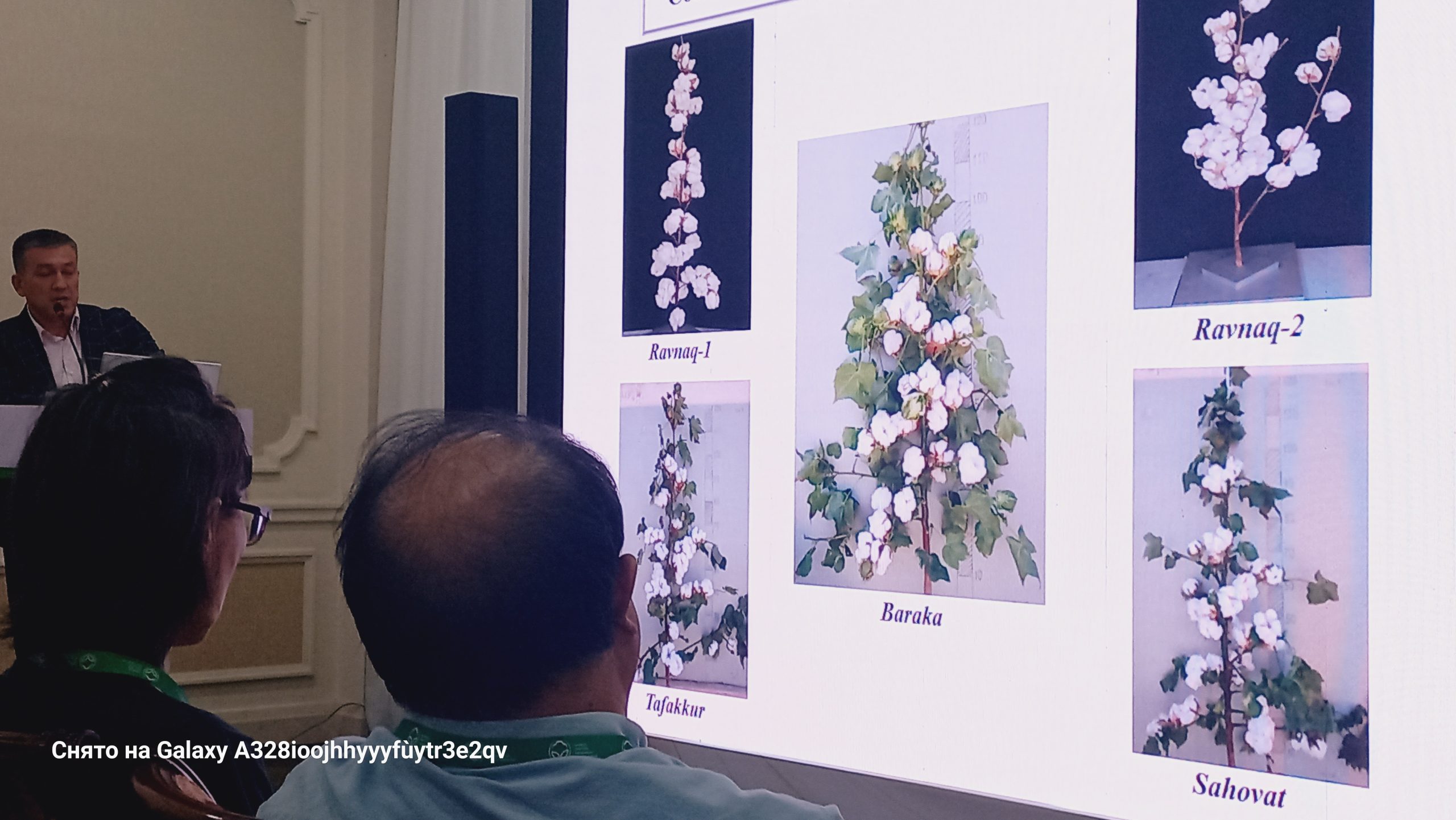 Advancing Genetic Diversity in Agricultural Crops