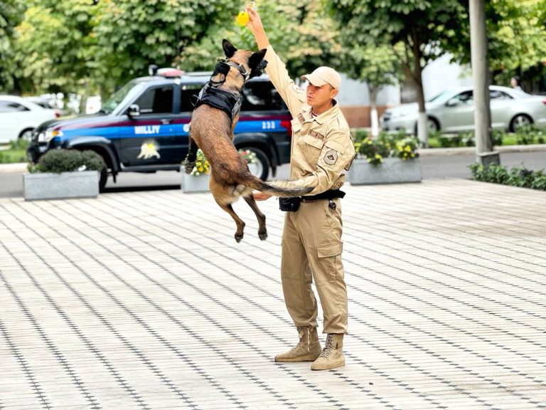 Kinologiya markazi xizmat itlarining ko‘rgazmali chiqishlari namoyish etildi
