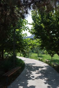 Program on drought tolerant  flora