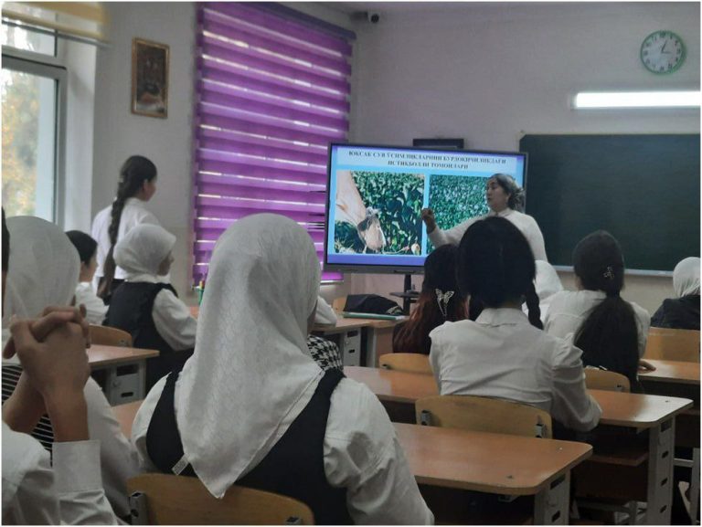 Biology Faculty Brings Climate-Focused Outreach to School Students Through Hands-On Workshop