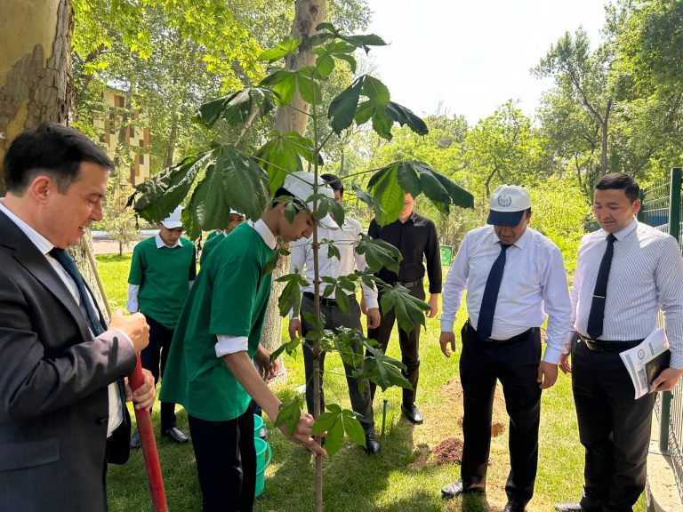 National University of Uzbekistan Organizes Climate Action and Environmental Awareness Events at Affiliated Schools