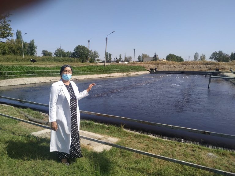 Waste water treatment