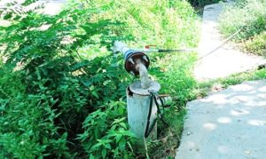 Sustainable water extraction on campus