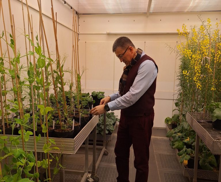 Maintain and extend current ecosystems’ biodiversity