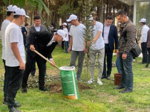 Tree Planting to reduce carbon footprint