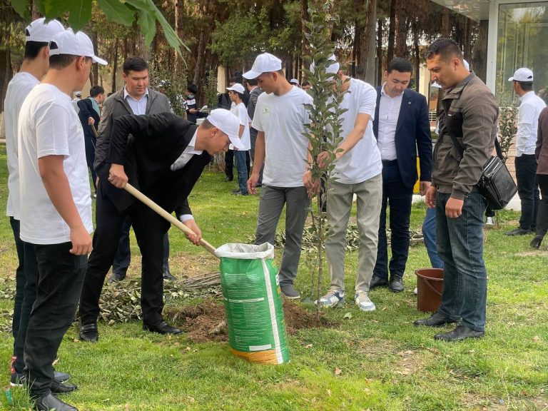 Tree Planting to reduce carbon footprint