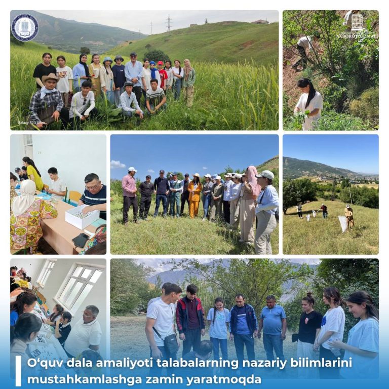 Burchimulla Field Practice