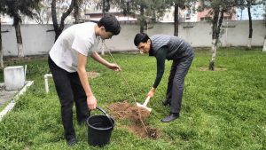 Tree Planting for a Greener Future: