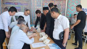 Fostering Future Geologists: NUUz Hosts Annual Festival