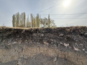 Ангрен ҳудудида техноген таъсирлар ва тупроқ экологияси тадқиқи