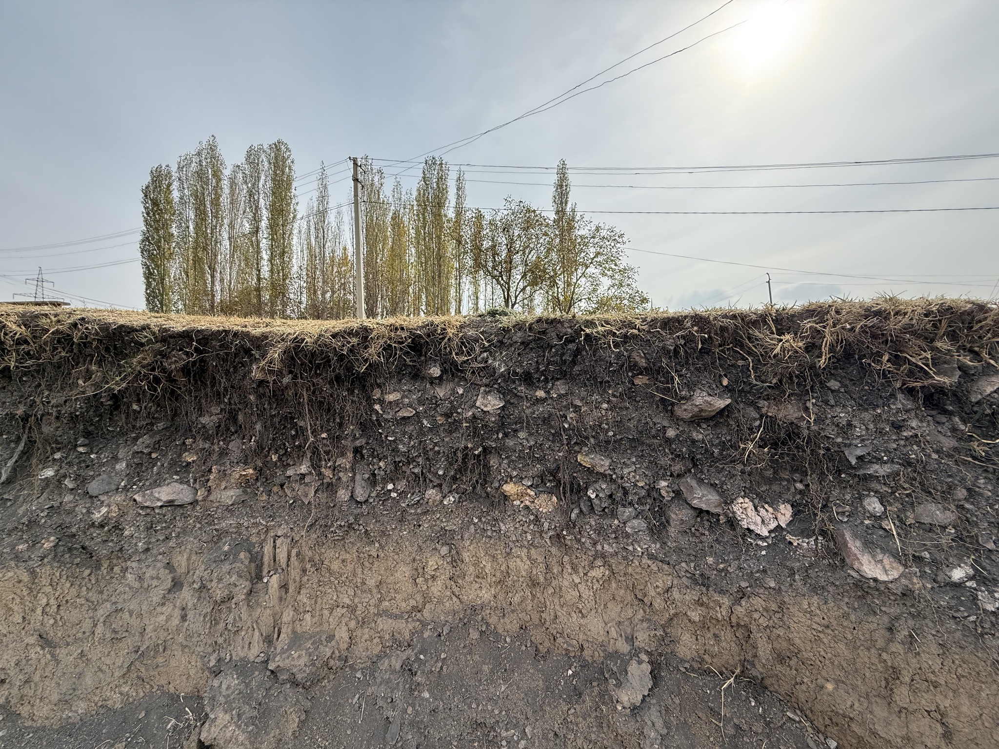 Ангрен ҳудудида техноген таъсирлар ва тупроқ экологияси тадқиқи